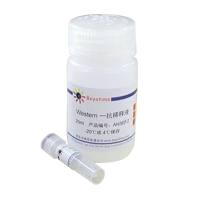 His-tag抗体(小鼠单抗)