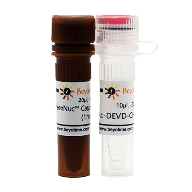 GreenNuc™活细胞Caspase-3活性检测试剂盒