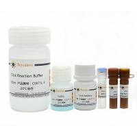 BeyoClick™ EdU-488细胞增殖检测试剂盒