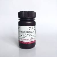 血液总RNA提取试剂   R1040  厂家直销，提供OEM定制服务，大包装更优惠 