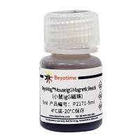 BeyoMag™ Mouse IgG Magnetic Beads (小鼠IgG磁珠)