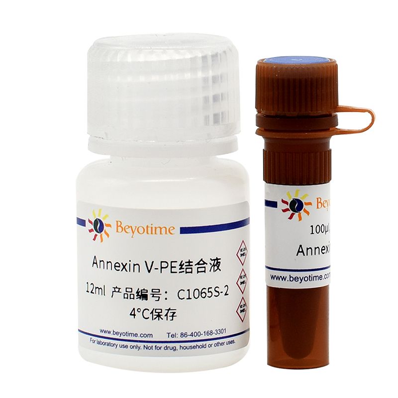 Annexin V-PE细胞凋亡检测试剂盒