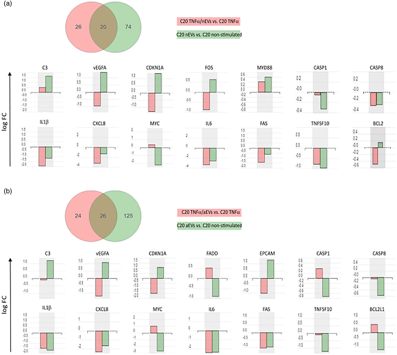 小胶细胞来源的细胞外囊泡激活自噬，介导多个信号通路维持细胞稳态
