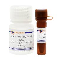 Annexin V-mCherry细胞凋亡检测试剂盒