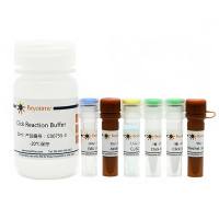 BeyoClick™ EdU-555细胞增殖检测试剂盒