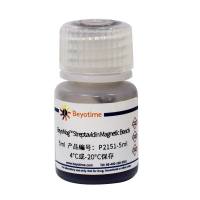 BeyoMag™ Streptavidin Magnetic Beads (链霉亲和素磁珠)