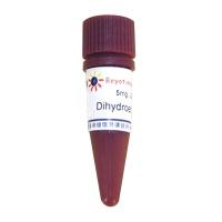 Dihydroethidium (超氧化物阴离子荧光探针)