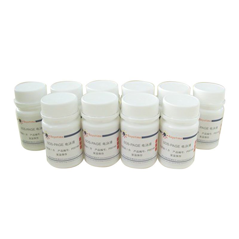 SDS-PAGE电泳液(Tris-Gly, Powder)