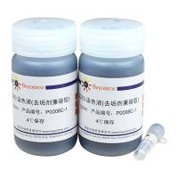 Bradford蛋白浓度测定试剂盒(去垢剂兼容型)