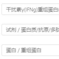 干扰素γ(IFNg)重组蛋白(恒河猴)