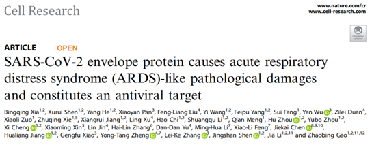 抗新冠药物研发有新突破啦！