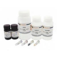 化学发光法EMSA试剂盒