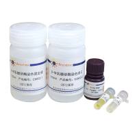 细胞衰老β-半乳糖苷酶染色试剂盒