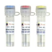 蛋白酶磷酸酶抑制剂混合物(哺乳动物样品抽提用, 50X)