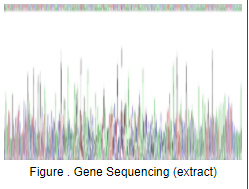 白介素12A(IL12A)重组蛋白(小鼠）