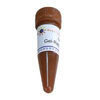 Gel-Red (EB升级换代产品, 10000X)