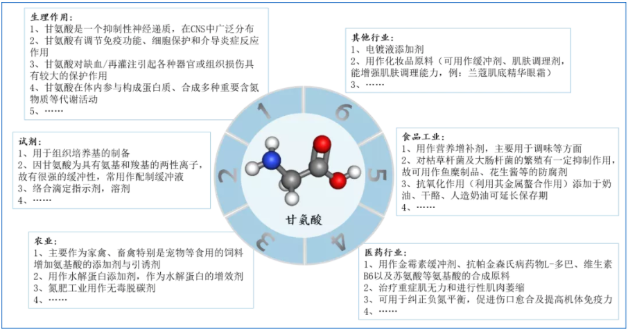 因为它，我重温了一遍生物化学！