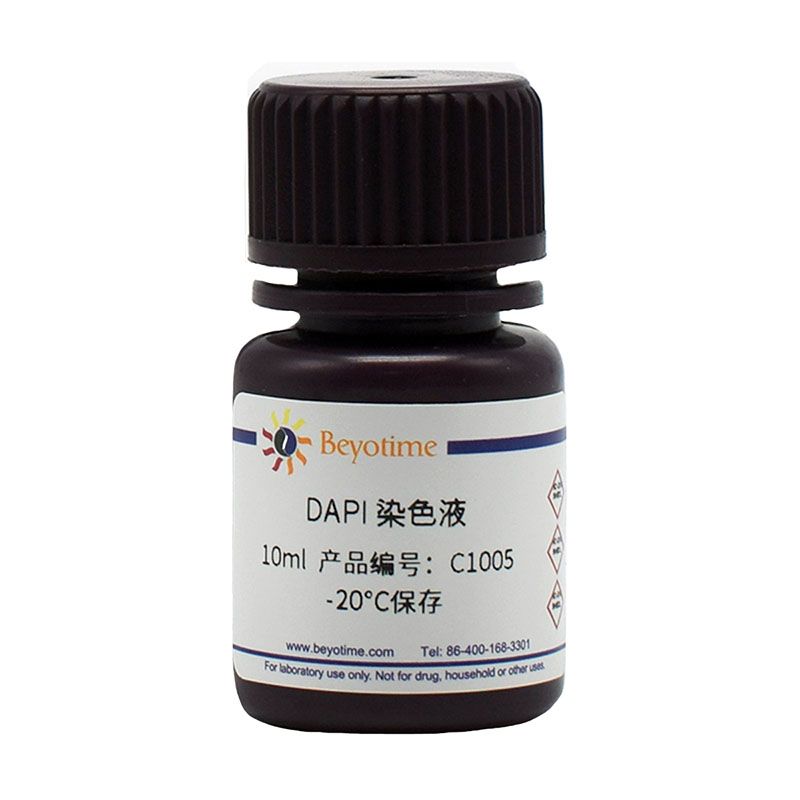 DAPI染色液