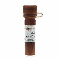 Mito-Tracker Green (线粒体绿色荧光探针)