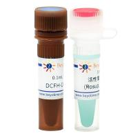 活性氧检测试剂盒