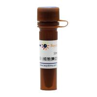 DiI (细胞膜红色荧光探针)