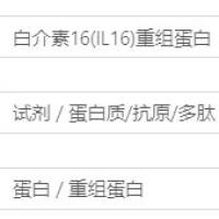 白介素16(IL16)重组蛋白(鸡)