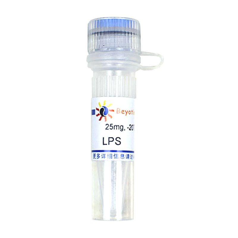LPS (TLR4激活剂)产品图