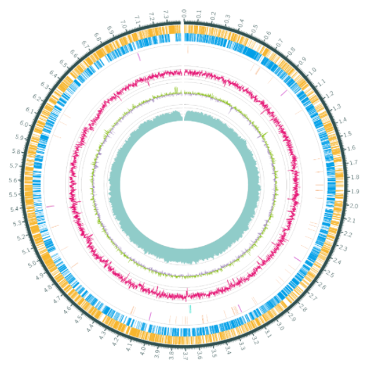 干货|细菌基因组组装测序小知识