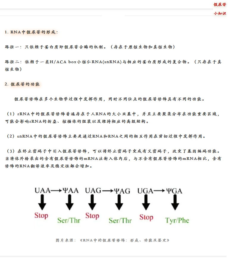 假尿苷—让mRNA疫苗在体内稳定发挥、不产生免疫副反应