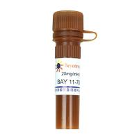 BAY 11-7082 (NF-κB抑制剂)