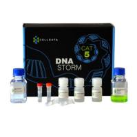 DNAstorm™ FFPE 试剂盒 - 从 FFPE 样品中高效提取高质量 DNA