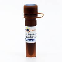 Okadaic acid钾盐(PP1和PP2A抑制剂)