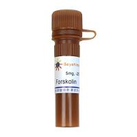 Forskolin (腺苷酸环化酶激活剂)