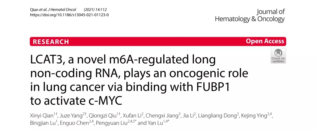 J Hematol Oncol丨m6A调控的LCAT3是一种新型肺癌致癌lncRNA