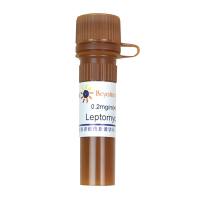 Leptomycin B (出核转运抑制剂)