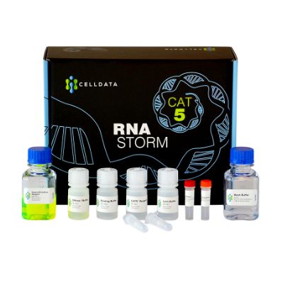 RNAstorm™试剂盒-从FFPE样品中提取强大的RNA 石蜡包埋组织提取RNA