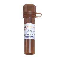 Enzalutamide (MDV3100) (AR抑制剂)