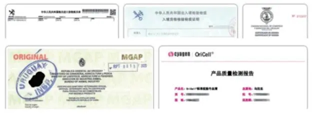 进口胎牛血清的安全问题