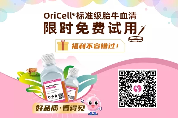 进口胎牛血清的安全问题