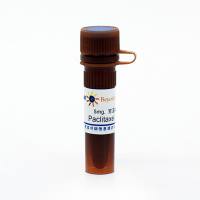 Paclitaxel (Microtubule Assosiated抑制剂)