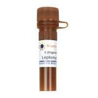 Leptomycin B (出核转运抑制剂)