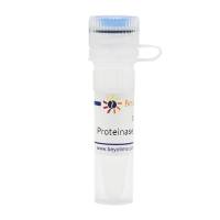 Proteinase K (20mg/ml)