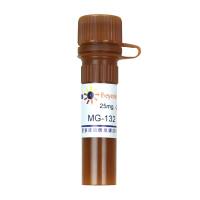 MG-132 (Proteasome抑制剂)