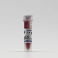 2 X PCR Mix（含染料)