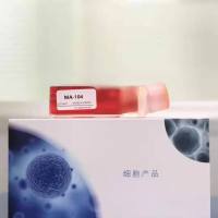 骨髓、脂肪、脐带、胎盘羊膜、牙髓等间质干细胞