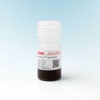 海狸BEAVER 葡聚糖纳米磁珠 70110-5