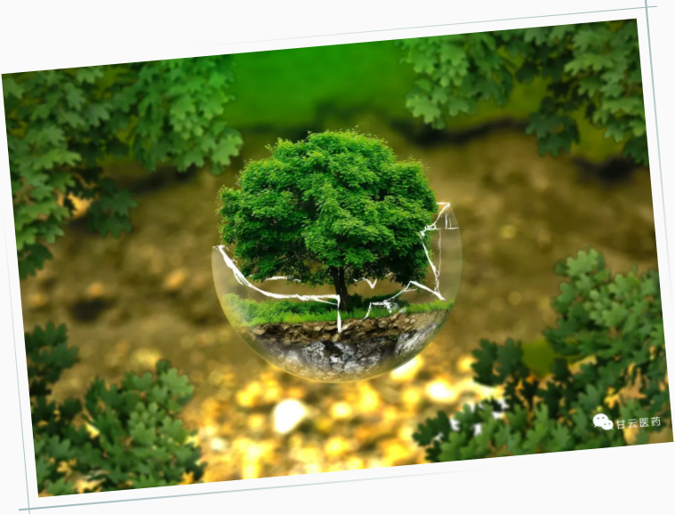 长得猛不猛，可能还要靠“锰”