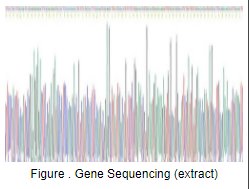 白介素6(IL6)重组蛋白(小鼠)