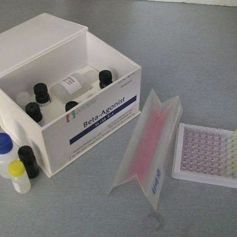 甲醛脱氢酶（FDH）测试盒