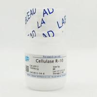 纤维素酶 R-10